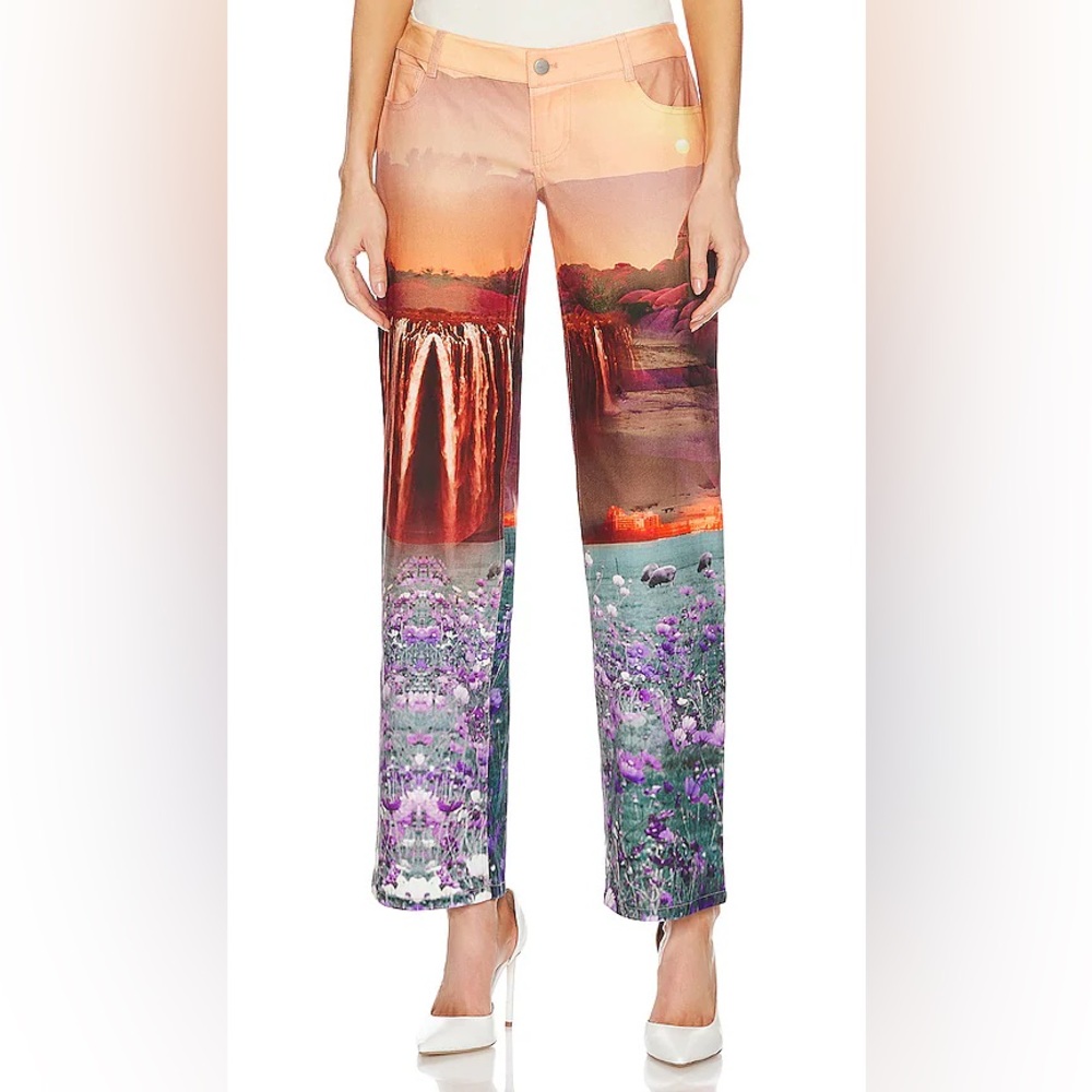 NWT Miaou Atlas Pant Oasis Scenic Print Straight Leg‎ Jeans XS Statement